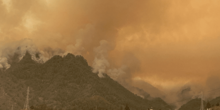 Maxi incendio a Tenerife, oltre 12 mila evacuati