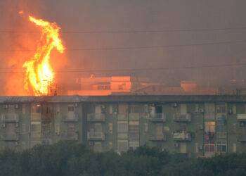 Allarme diossina a Palermo, dato 35 volte oltre la norma