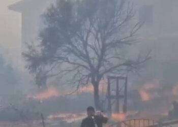 Incendi Sardegna, accertato il dolo anche per mega rogo a Posada