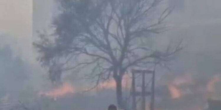 Incendi Sardegna, accertato il dolo anche per mega rogo a Posada