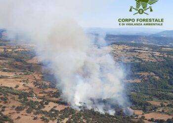 Incendio nelle campagne di Ittiri, in volo Super Puma e Canadair