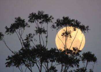 Superluna, Luna Blu e stelle cadenti brillano nel cielo di agosto