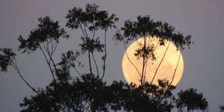 Superluna, Luna Blu e stelle cadenti brillano nel cielo di agosto