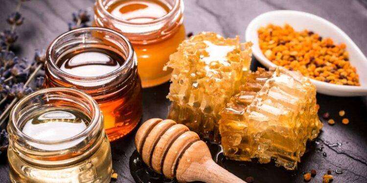 Miele , tutte le varietà dal corbezzolo all’acacia e dove gustarle