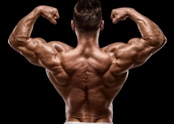 Sesso, il testosterone cala se si mangiano pochi grassi