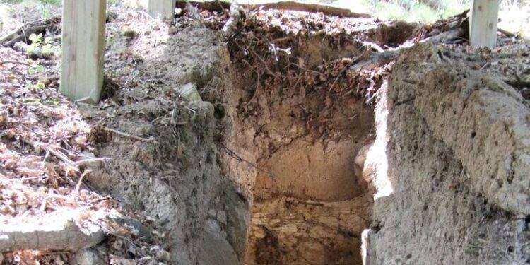 Nei boschi dell’orvietano una necropoli etrusca con 28 tombe