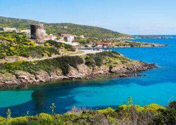 Parco dell’Asinara, Muntoni è il nuovo commissario