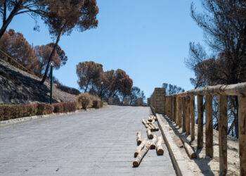 Cagliari, dopo rogo si accelera per riaprire parco S.Michele