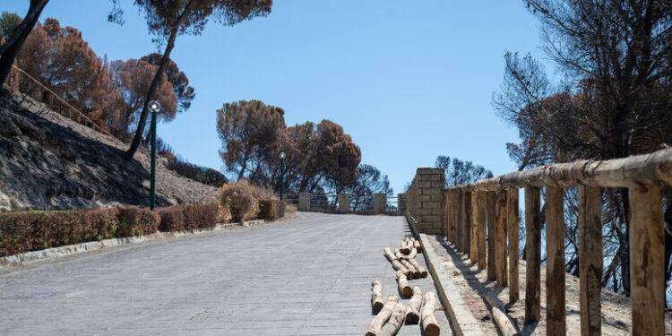 Cagliari, dopo rogo si accelera per riaprire parco S.Michele
