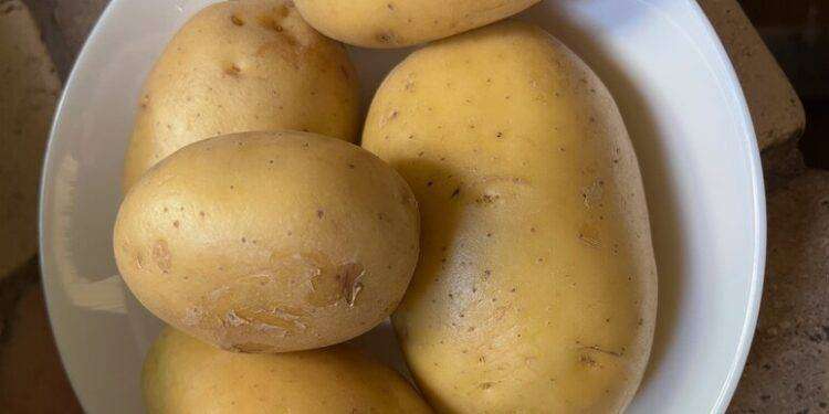 L’80% degli italiani consuma patate una volta a settimana