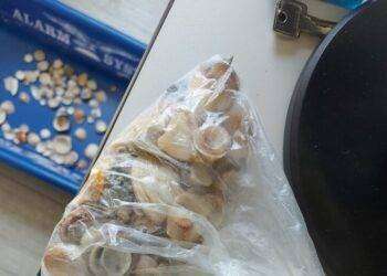 Spiagge sarde depredate, crocieristi rubano ciottoli a Cagliari