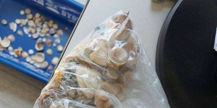 Spiagge sarde depredate, crocieristi rubano ciottoli a Cagliari