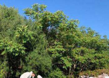 Anziano ucciso a bastonate e bruciato, attesa per interrogatorio