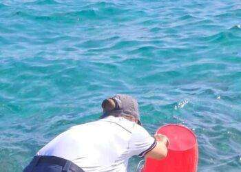 Pesca ricci di mare, sanzionato un turista a Golfo Aranci