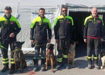 Eroi a 4 zampe, a pool cinofilo Vvf premio ‘Fedeltà del cane’