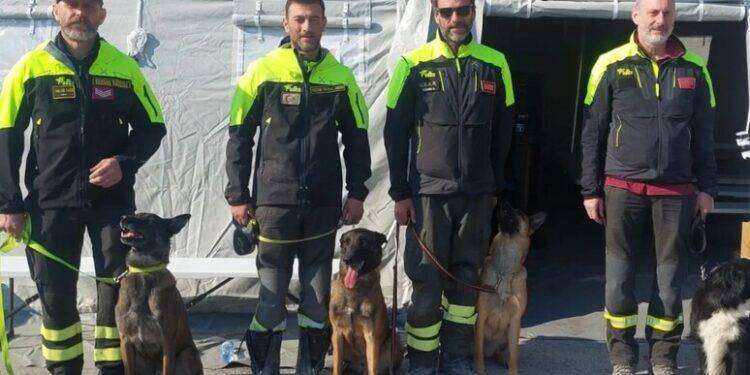 Eroi a 4 zampe, a pool cinofilo Vvf premio ‘Fedeltà del cane’