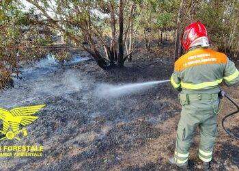 Fiamme in Sardegna, elicotteri del Corpo Forestale in azione