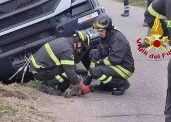 Grosso camion sprofonda in cunetta e rischia di ribaltarsi