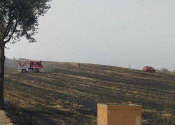 Fiamme a Villanovafranca, in azione l’elicottero del Corpo Forestale