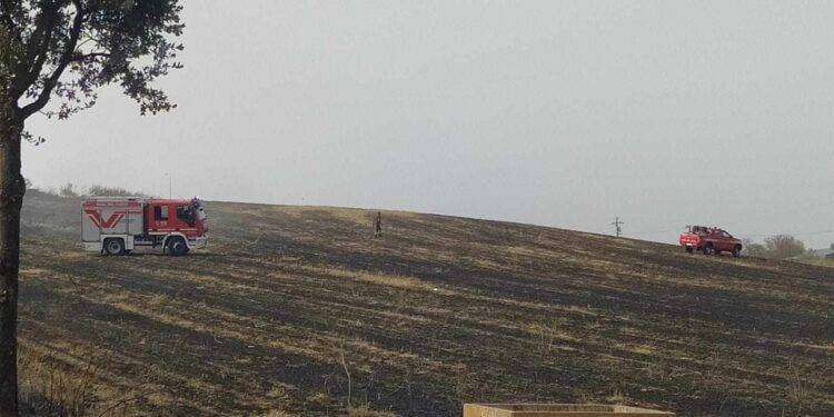 Fiamme a Villanovafranca, in azione l’elicottero del Corpo Forestale