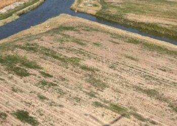 Cavarzere (Ve), salvato dai Vigili del fuoco un bambino finito in un canale