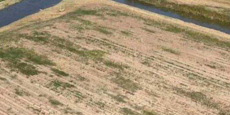 Cavarzere (Ve), salvato dai Vigili del fuoco un bambino finito in un canale