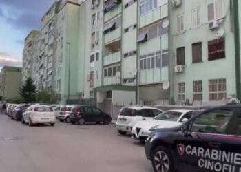 Nuovo blitz interforze a Caivano, in campo oltre 400 uomini