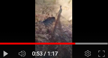 Comitato Margine Rosso denuncia le discariche abusive nel litorale di Quartu