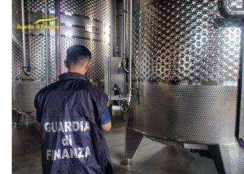 Vini sardi falsi doc, Gdf scopre frode da 3 milioni di euro