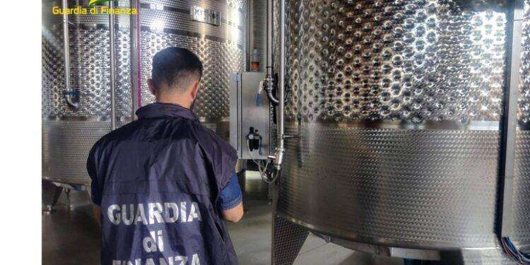 Vini sardi falsi doc, Gdf scopre frode da 3 milioni di euro