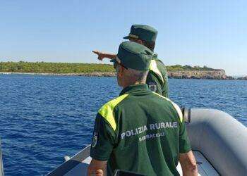 Pesca subacquea illegale nell’Area Marina Protetta