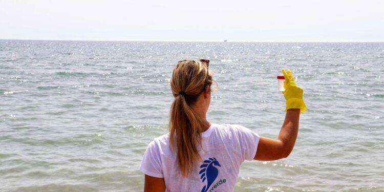 Mare sempre più violato, 19.530 reati ambientali nel 2022