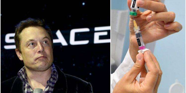 Elon Musk ridicolizza i vaccini anti-Covid e la loro presentazione sui media