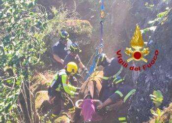 Una mucca finisce in un dirupo, recuperata con l’elicottero