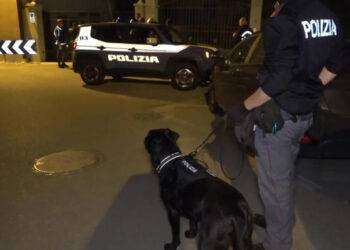 Rapiscono e torturano giovane che li aveva denunciati, 4 arresti