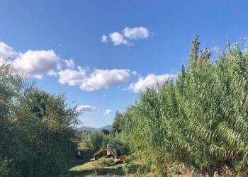 Arzachena, al via i lavori di pulizia degli alvei dei fiumi