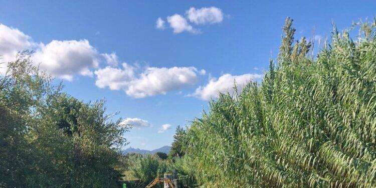 Arzachena, al via i lavori di pulizia degli alvei dei fiumi