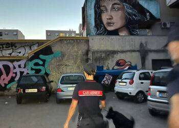 Pulisce strada dei pusher, aggredita a Tor Bella Monaca