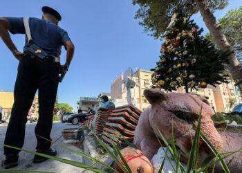 Stupri al Parco Verde di Caivano, eseguite 9 misure cautelari