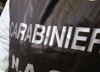 Pesce non tracciato in ristorante cinese, 250kg sequestrati