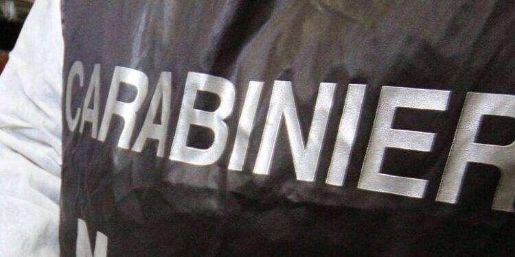 Pesce non tracciato in ristorante cinese, 250kg sequestrati