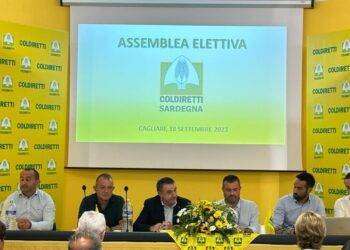 Battista Cualbu confermato presidente di Coldiretti Sardegna