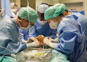 Donazione organi, tante iniziative per la “Giornata del sì”