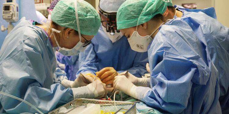 Donazione organi, tante iniziative per la “Giornata del sì”