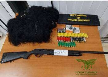 Bracconieri bloccati da forestali nel parco di Gutturu Mannu