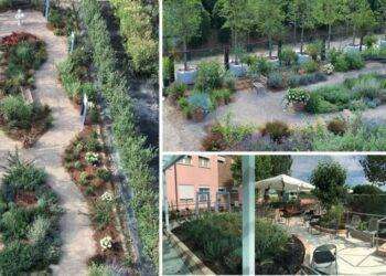 A Cesena il primo giardino pubblico per malati di Alzheimer