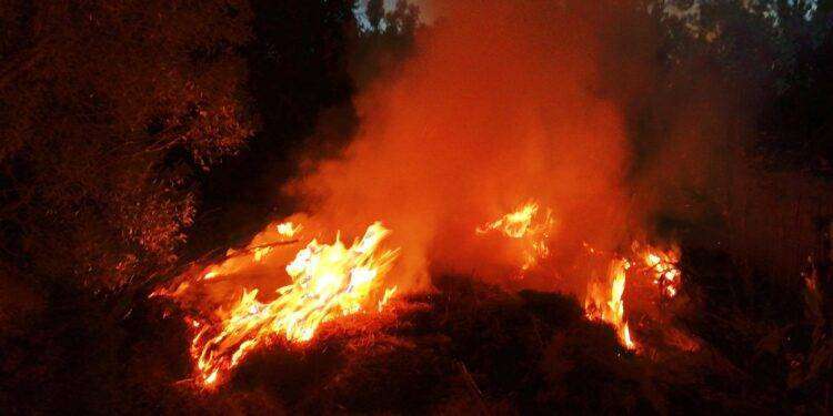 Cagliari, pericolo alto per il rischio incendi