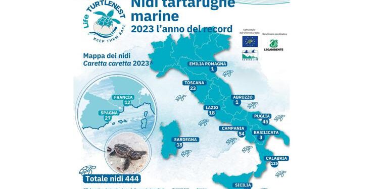 Boom di nidi di tartaruga marina in Italia, 2023 anno record