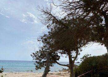 Presunto ordigno bellico in mare, Cala Cipolla evacuata e chiusa