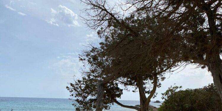 Presunto ordigno bellico in mare, Cala Cipolla evacuata e chiusa